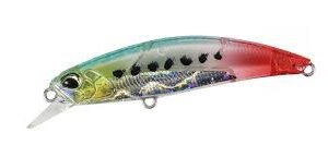 SPEARHEAD 60 BLEADING SARDINE
