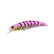 SPEAR HEAD 60PINK GIGO